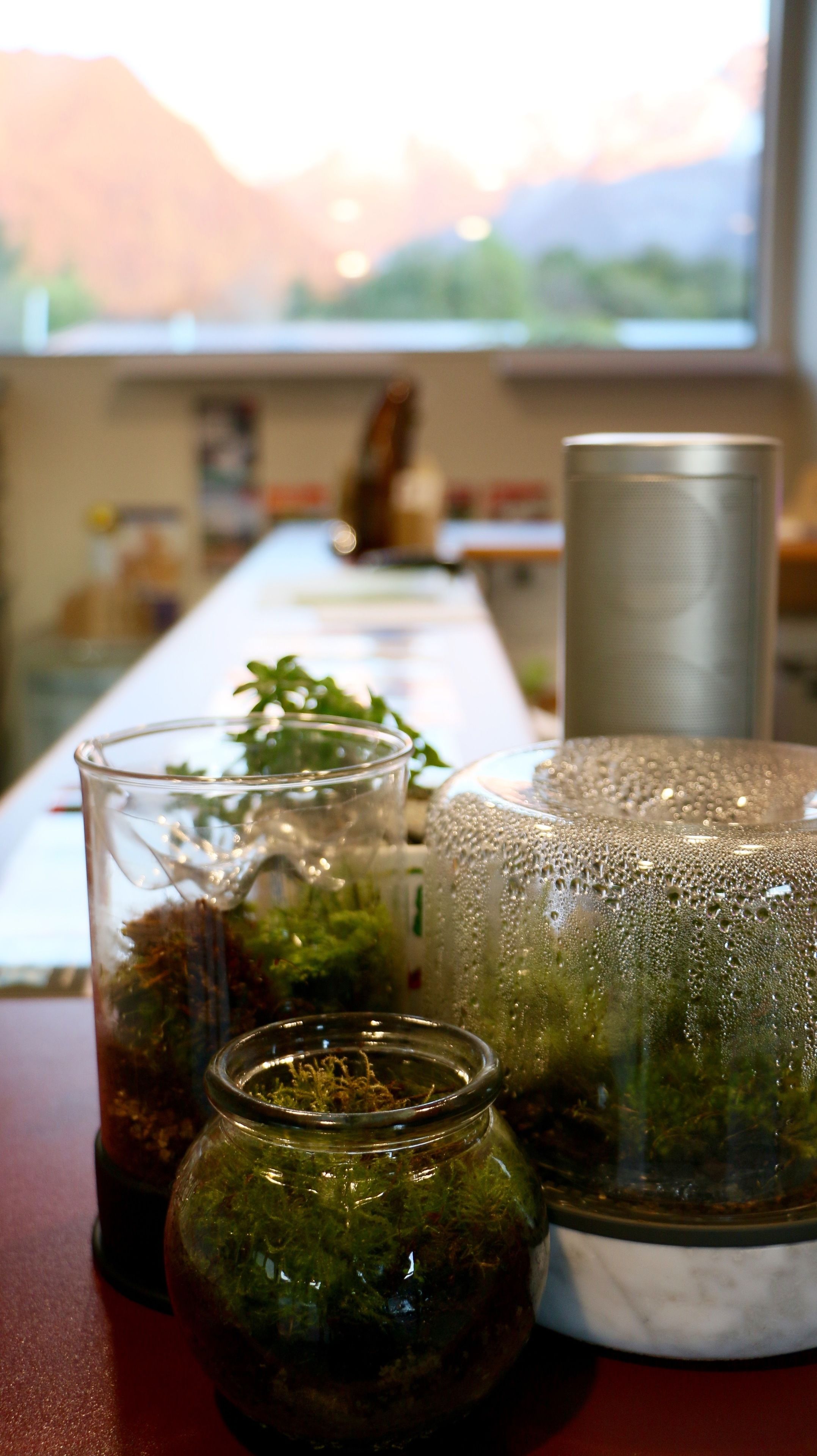 A table with a glass jar, a glass cup, and a metal container.