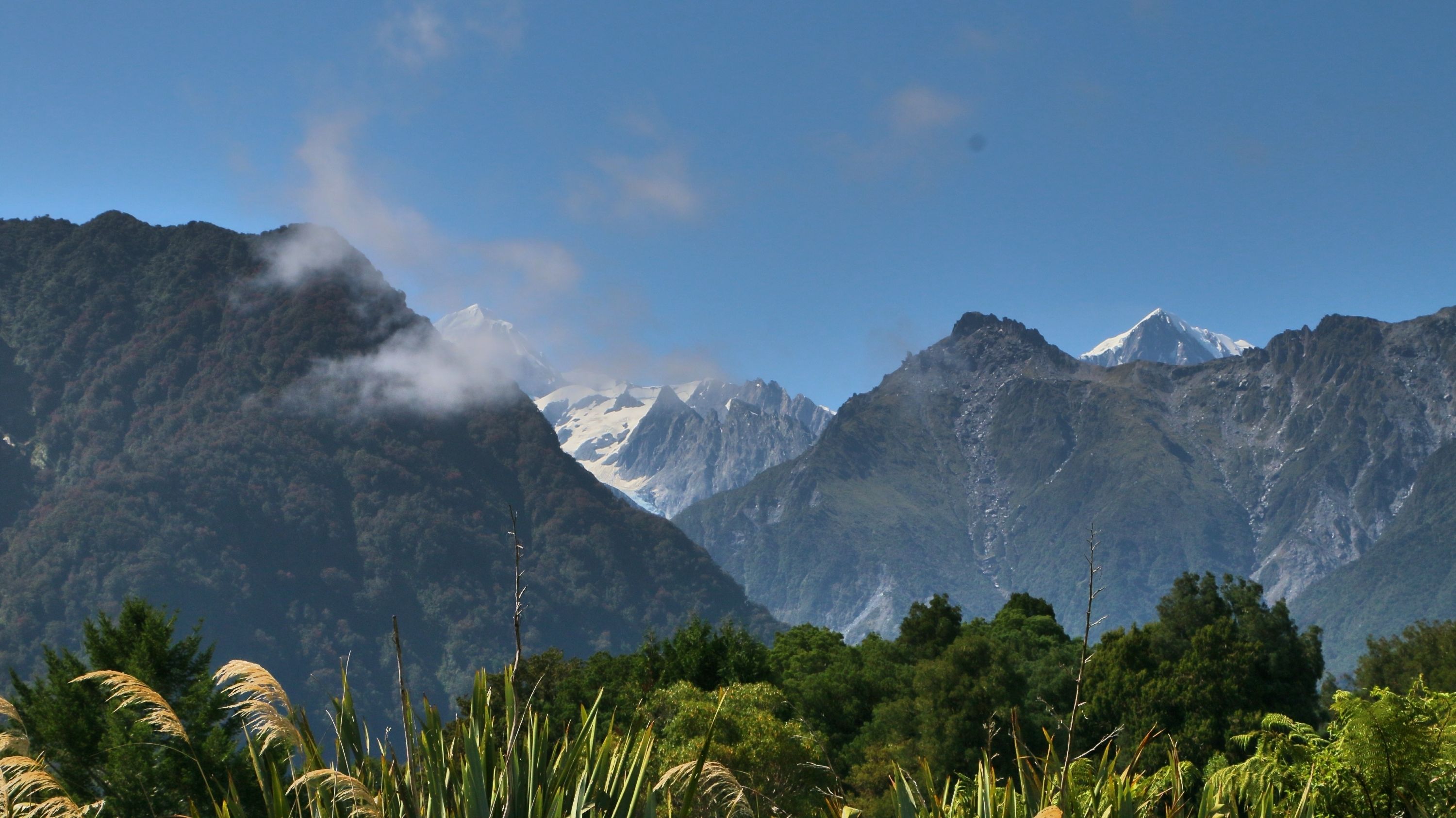 A mountainous landscape with dense forest in the foreground and snow-capped peaks in the background.