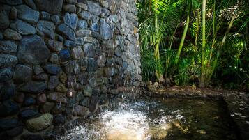Un muro de piedra con una fuente de agua, rodeado de exuberante follaje.