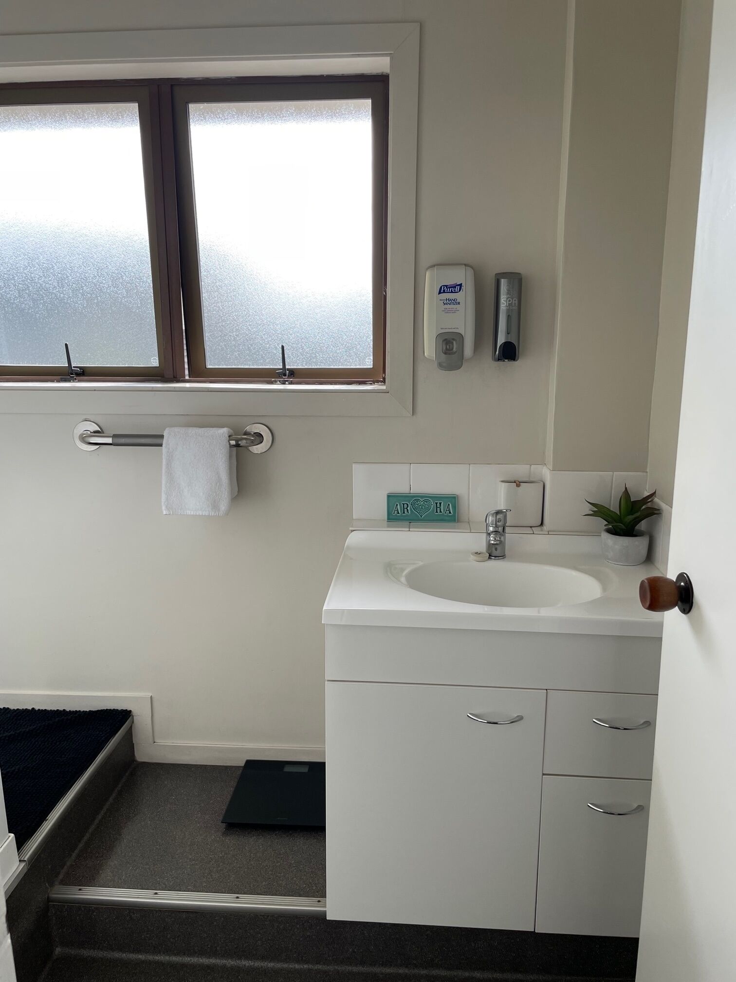 A bathroom with a window, a hand sanitizer dispenser, a sink, and a small potted plant.