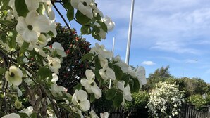Una piscina rodeada de exuberante follaje y flores blancas.