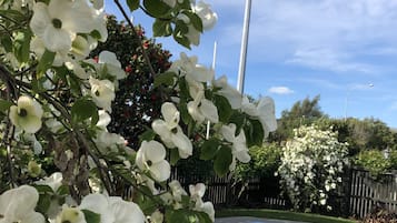 Alberca al aire libre por temporada 