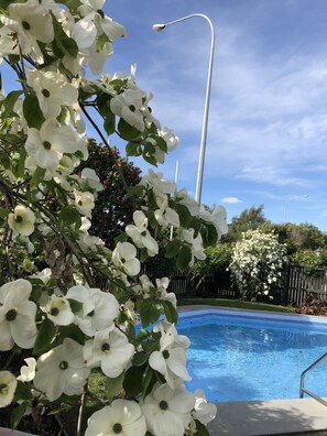 Seasonal outdoor pool - Colonial Motel (Blenheim)