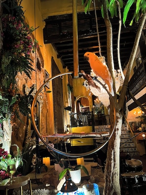 Banquet hall - The Gallery Inn (San Juan)