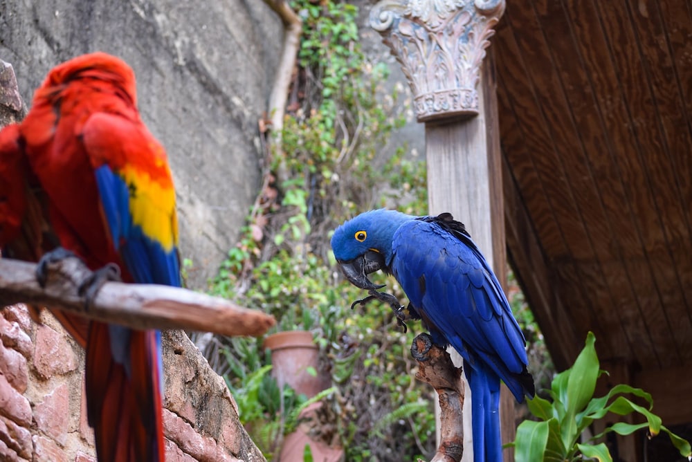 The Gallery Inn by null