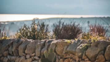 Petit déjeuner buffet (10 EUR par personne)