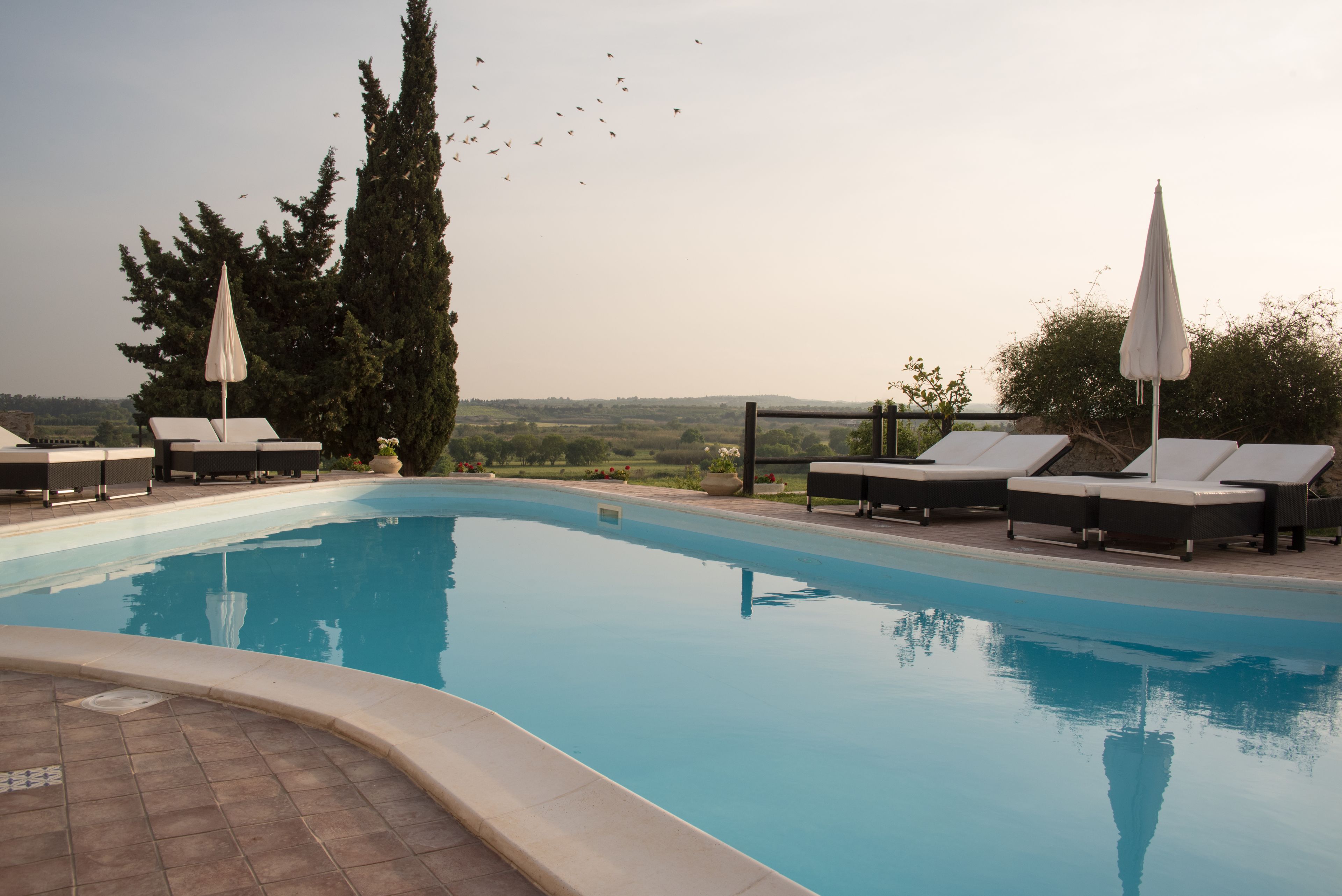 outdoor pool, pool loungers