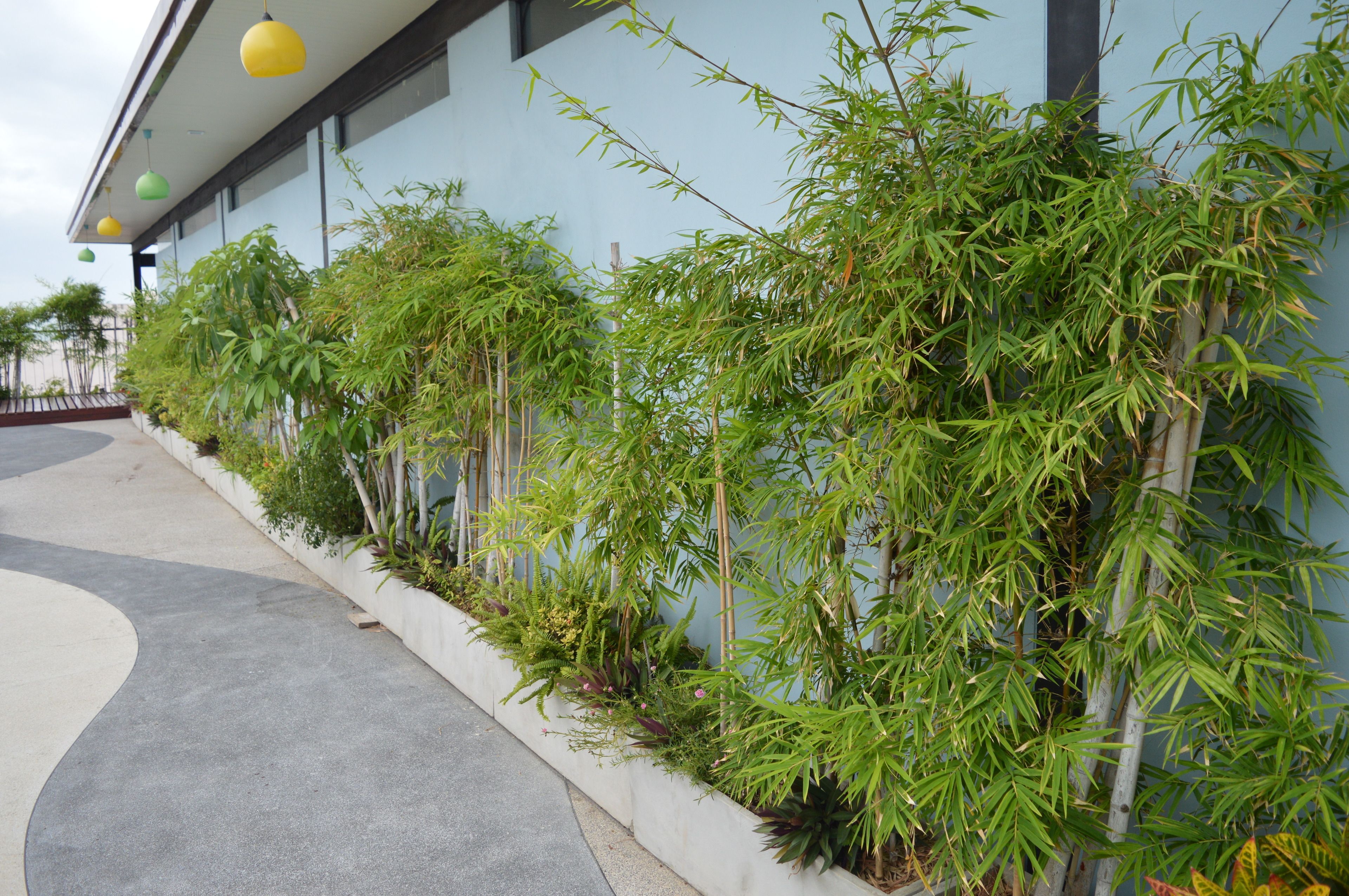 Foto - AYA Boutique Hotel Pattaya - SHA Plus