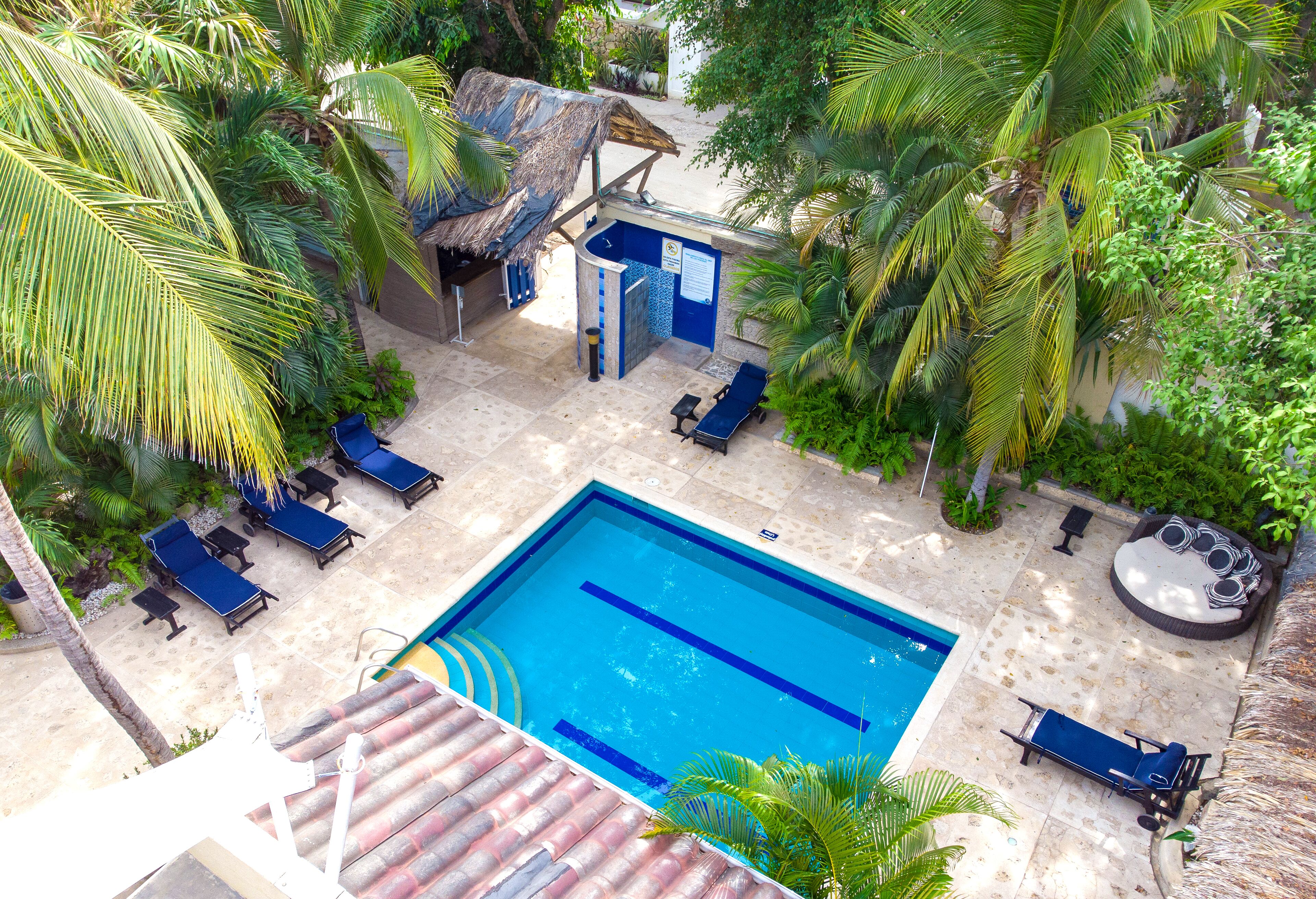 A swimming pool with lounge chairs and a hot tub, surrounded by palm trees and a thatched-roof structure.