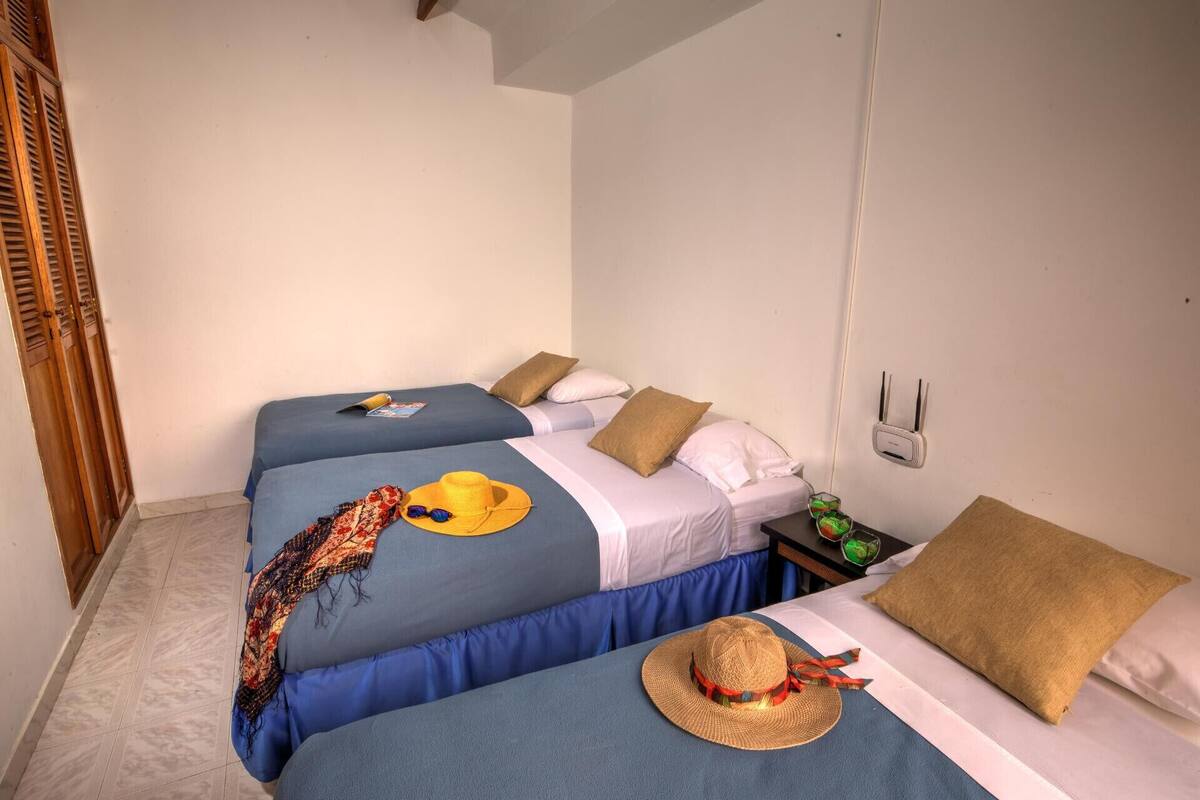 Literie de qualité supérieure, couette en duvet d'oie