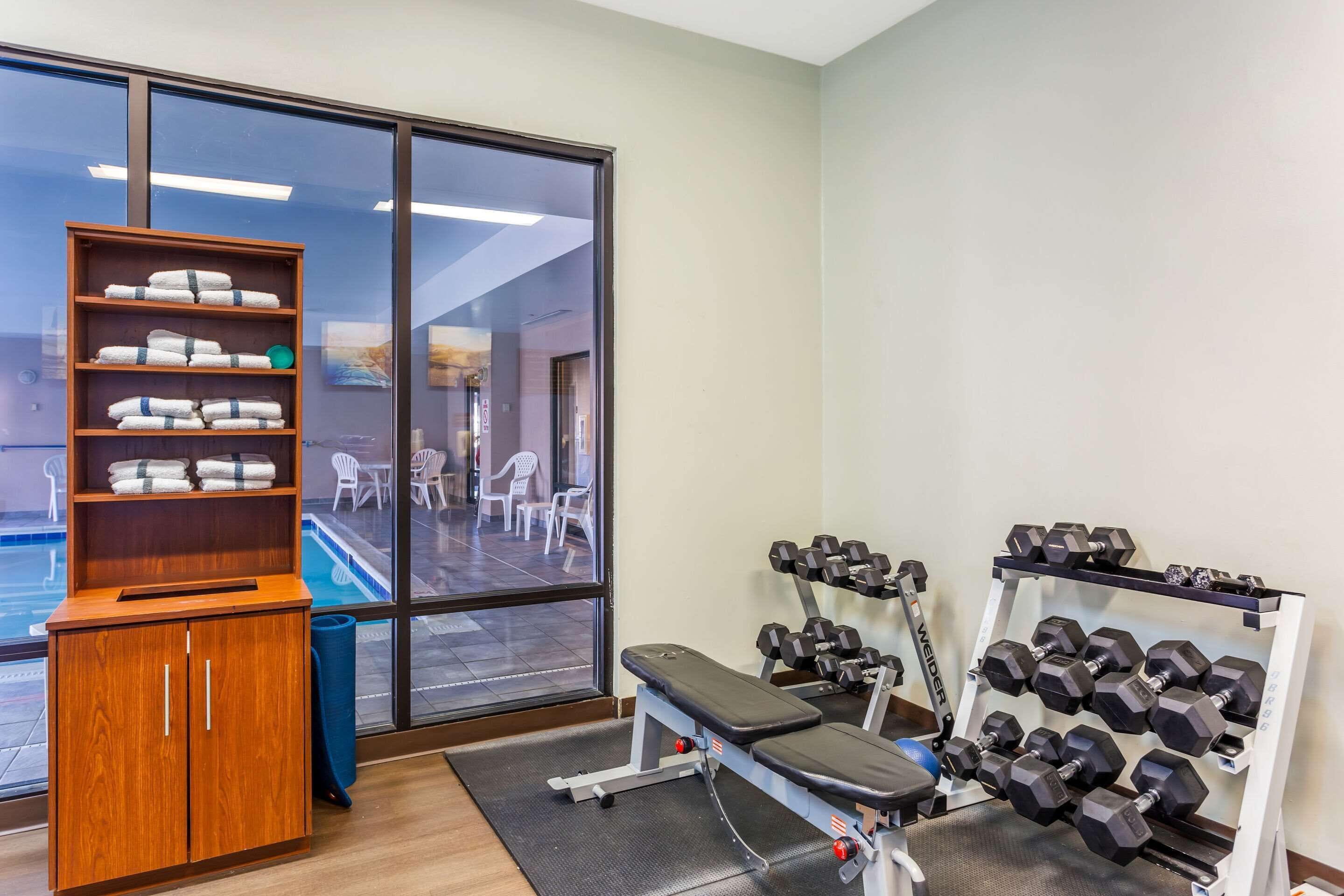 A gym with a bench, dumbbells, and a towel rack.