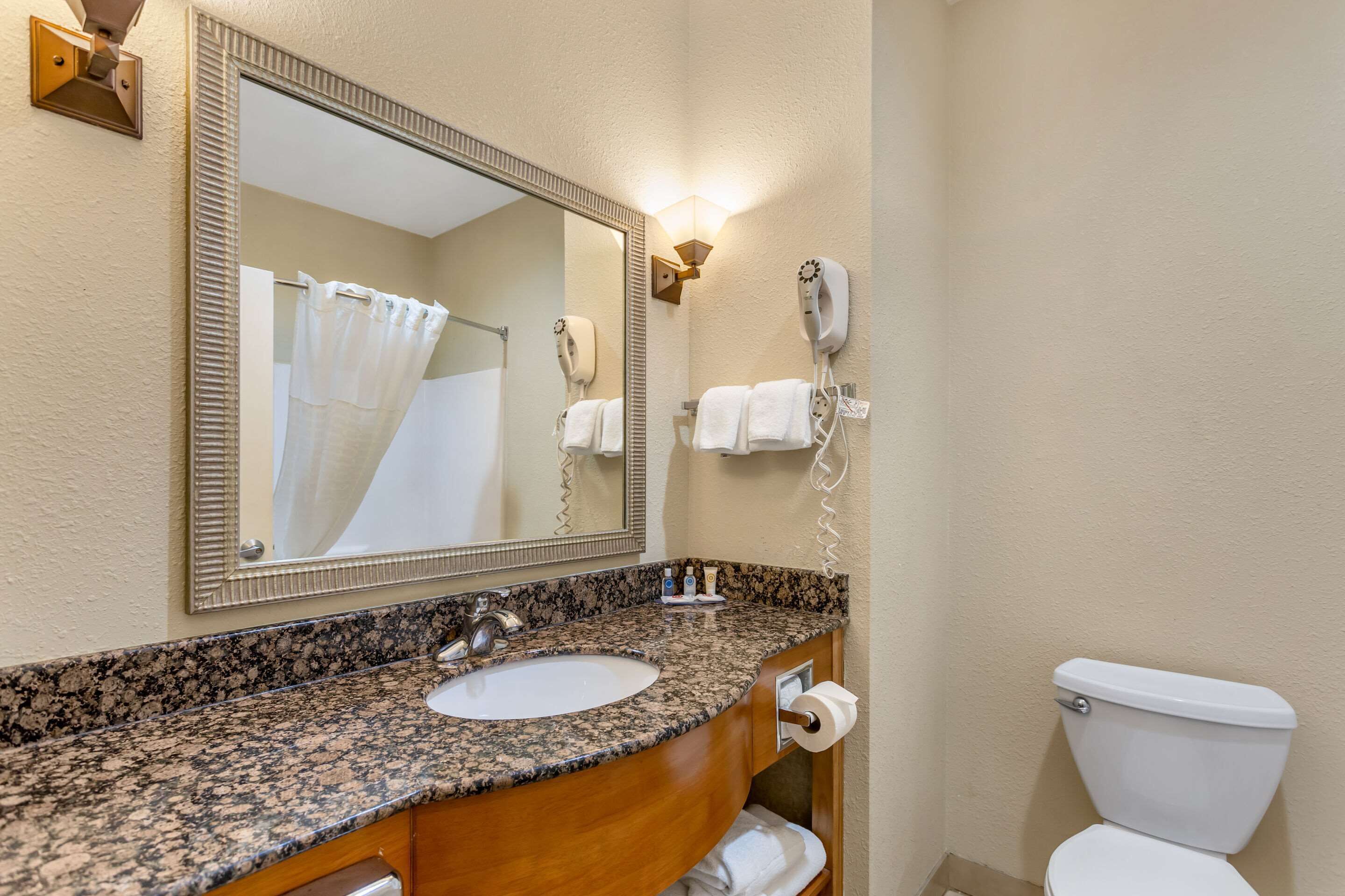 suite, 1 king bed with sofa bed | premium bedding, desk, laptop workspace, iron/ironing board