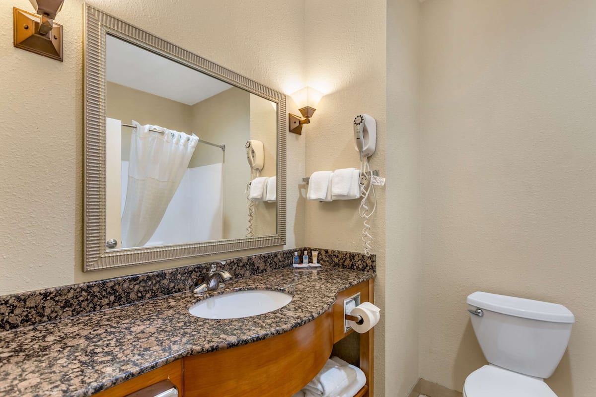 suite, 1 king bed with sofa bed | premium bedding, desk, laptop workspace, iron/ironing board