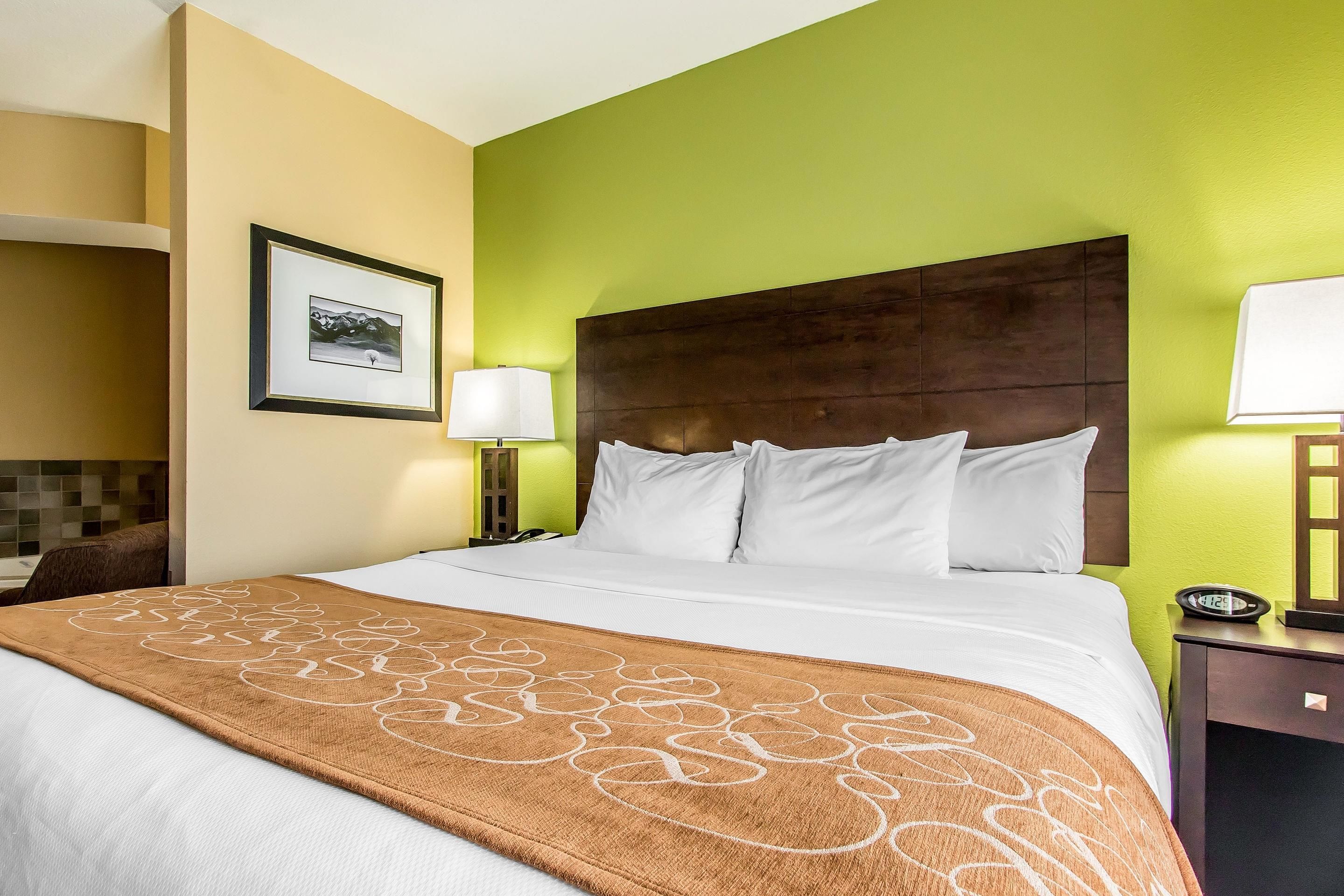 Une chambre d’hôtel avec un grand lit, une tête de lit, une table de chevet avec une lampe et un tableau encadré au mur.