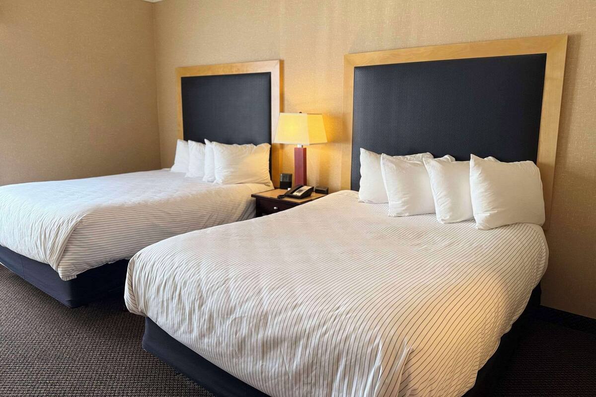 Suite, flere senger, ikke-røyk (2 Queen beds & 1 Sofa Bed) | Sengetøy av topp kvalitet, skrivebord og blendingsgardiner