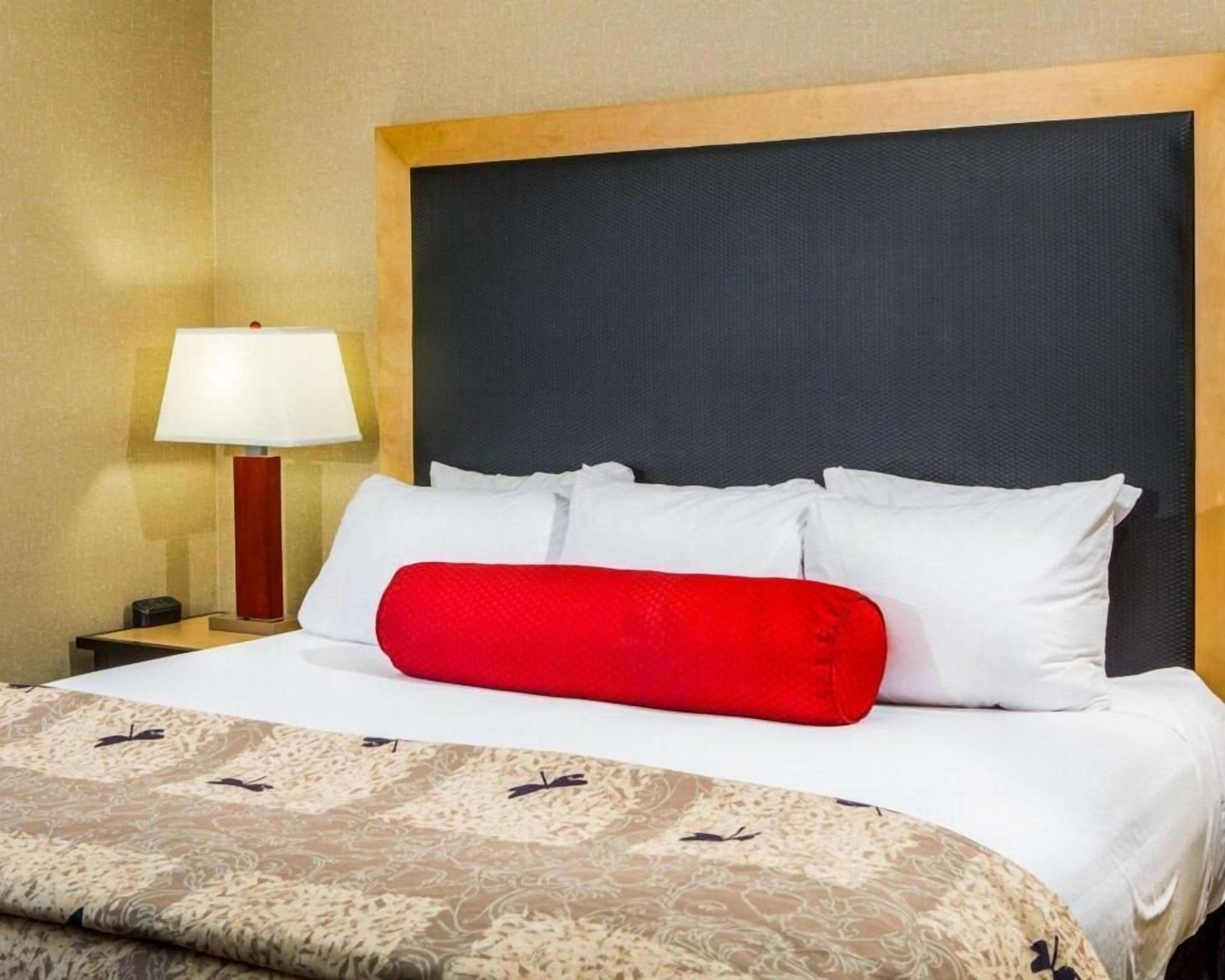 Ropa de cama de alta calidad, escritorio y cortinas blackout 
