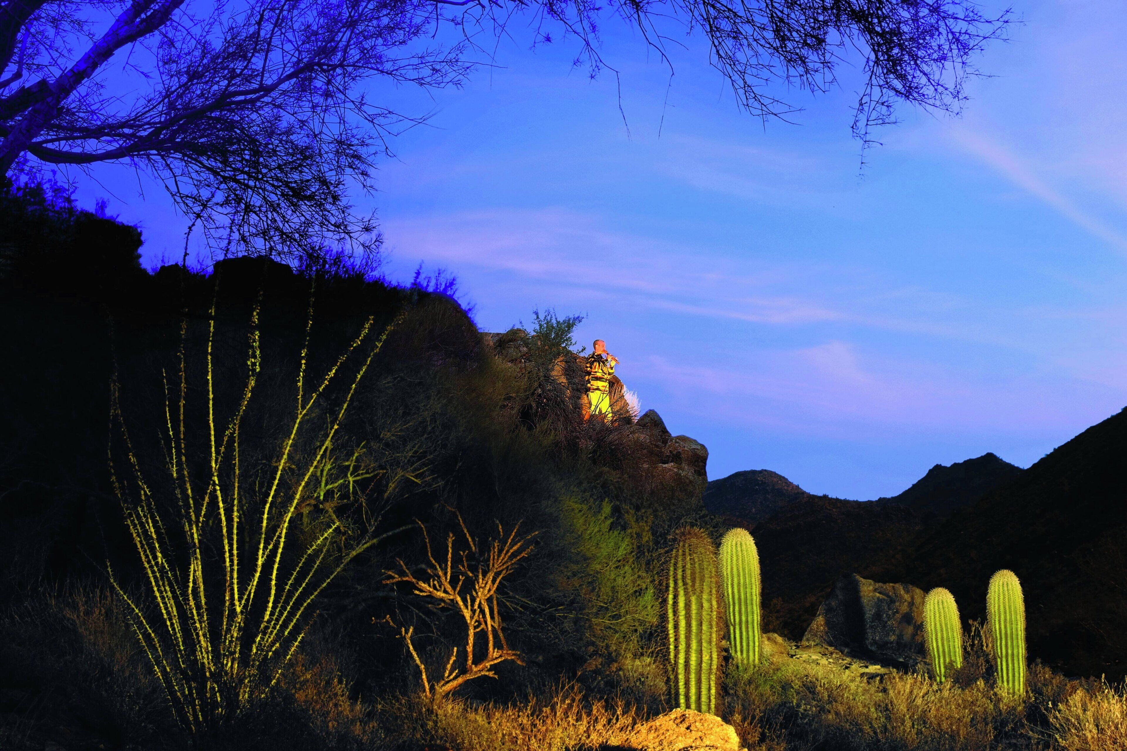 A desert landscape with cacti and a rocky outcrop.