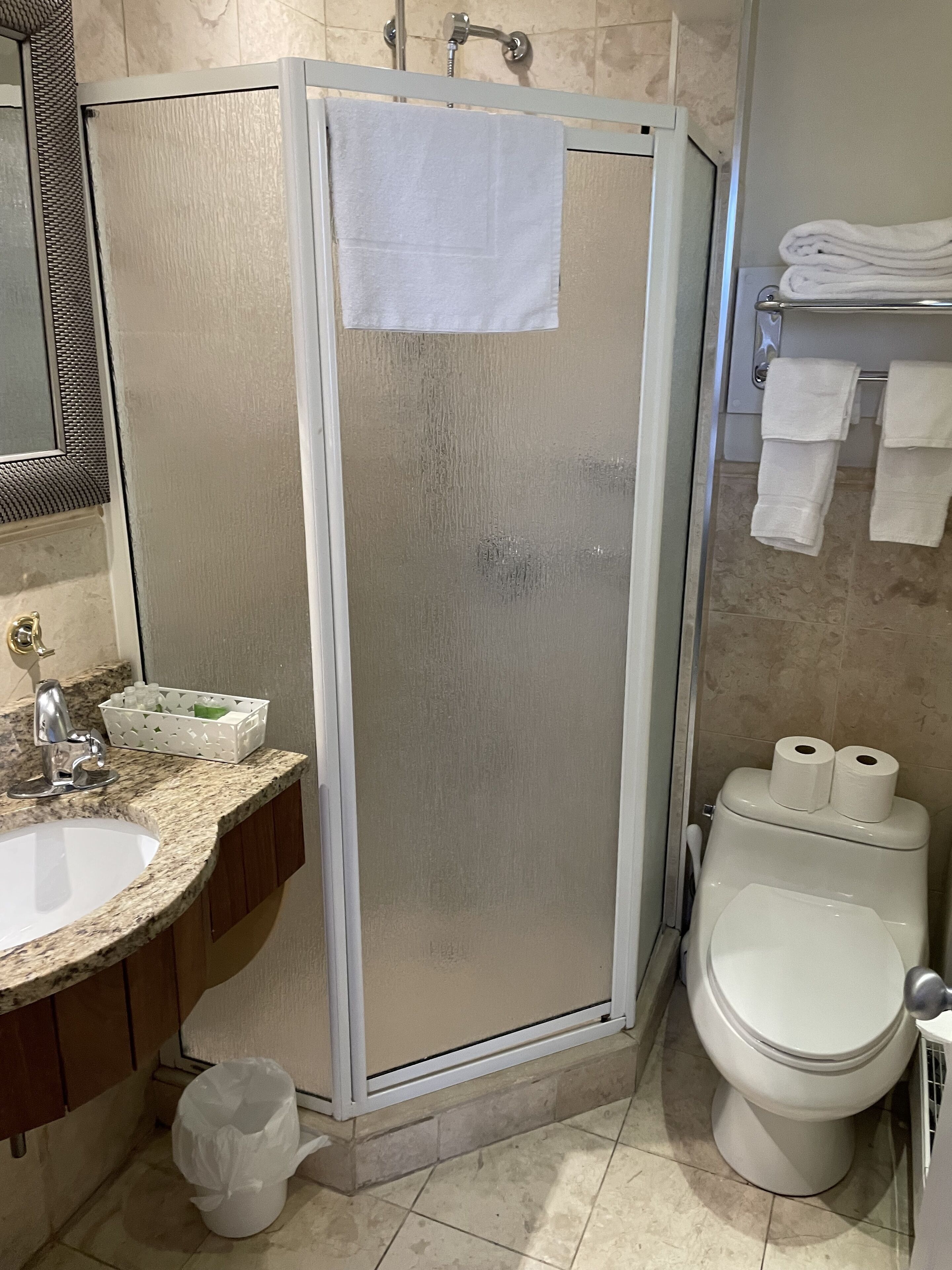 A bathroom with a glass-enclosed shower, a sink with a marble countertop, a toilet, and a mirror above the sink.