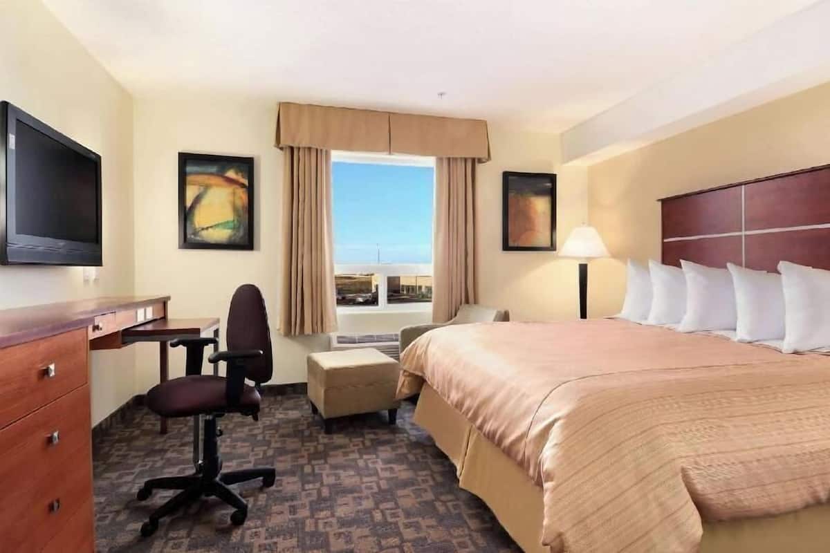 Premium bedding, desk, iron/ironing board, free cribs/infant beds