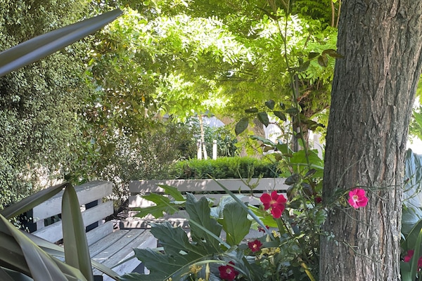 Jardim