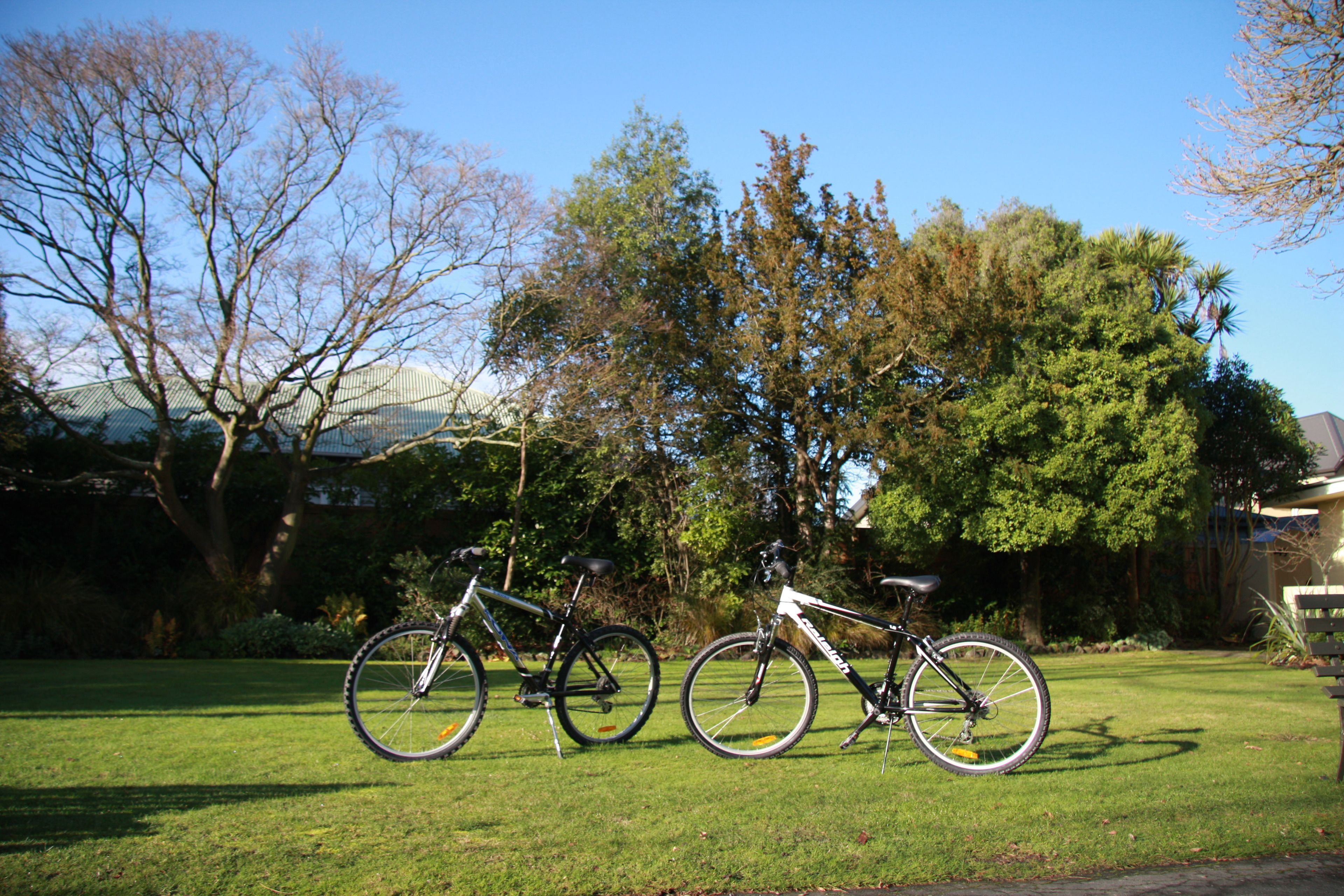 Foto - Ashleigh Court Motel-Christchurch Hagley Park