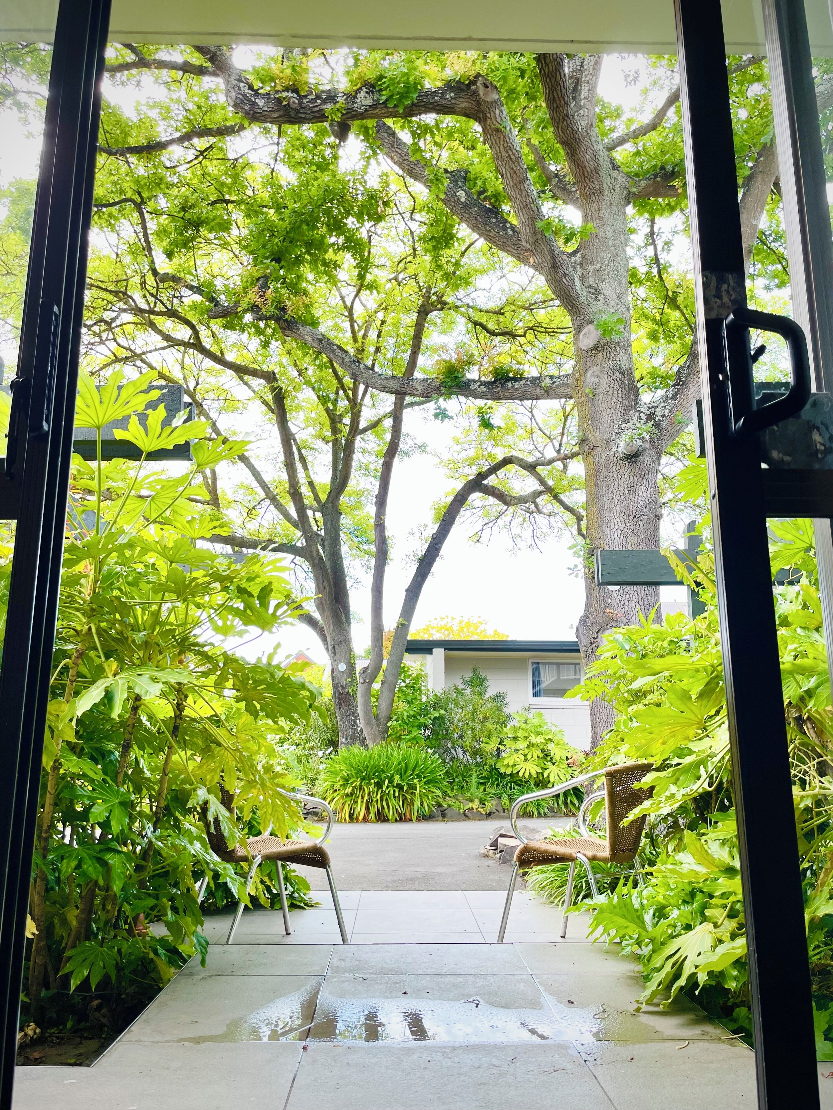 One Bedroom King Twin Suite - Prepaid | Terrace/patio