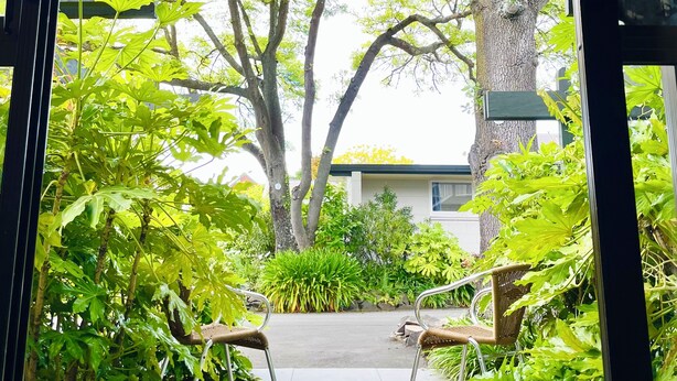A view through a glass door into a courtyard with two wicker chairs, a large tree, and a building in the background. - Ashleigh Court Motel-Christchurch Hagley Park (Christchurch)