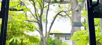 แอชลีห์ คอร์ท โมเทล - ไครสต์เชิร์ช แฮกลีย์ พาร์ค