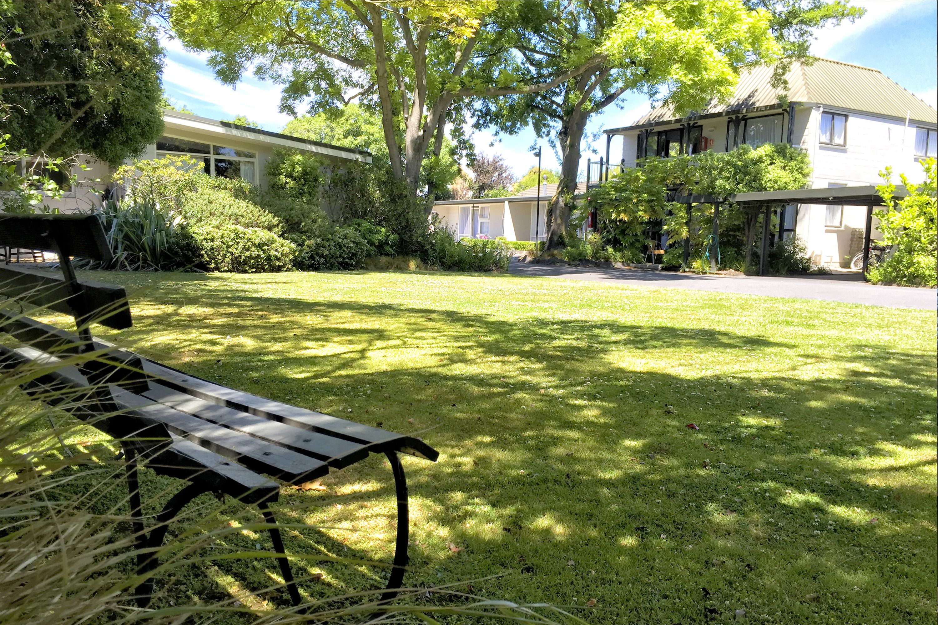 A grassy courtyard with a bench, surrounded by trees and a building with a flat roof.