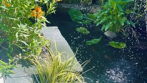 A garden with a pond, water lilies, and orange flowers. - Ashleigh Court Motel-Christchurch Hagley Park (Christchurch)