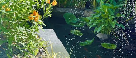 A garden with a pond, water lilies, and orange flowers.
