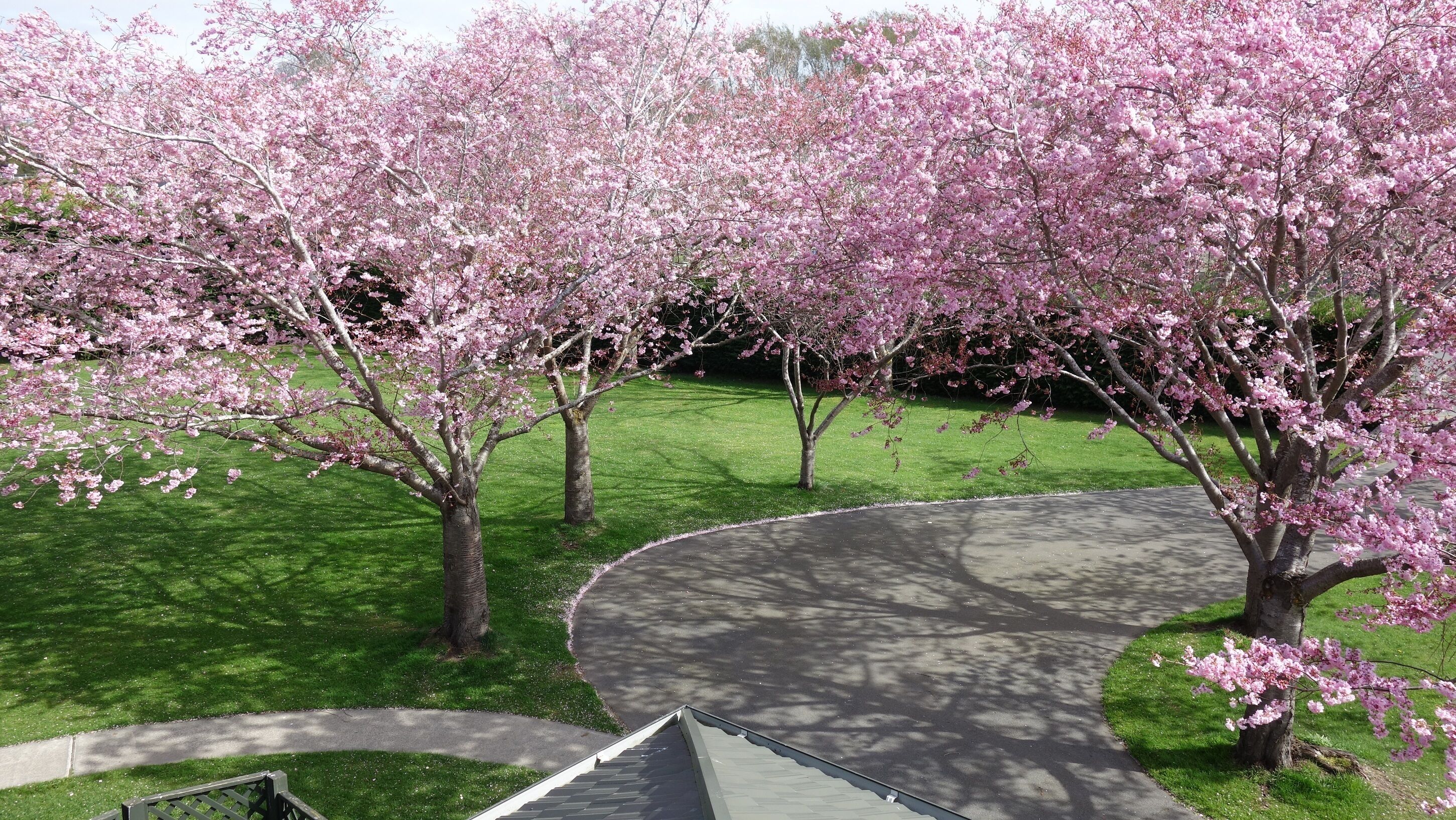 Photo - Northwood Motor Lodge