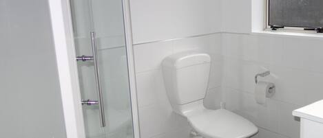 A bathroom with a toilet, a glass shower enclosure, and a toilet paper holder.