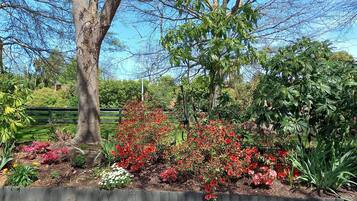A garden with various plants and flowers, a wooden fence, and trees.