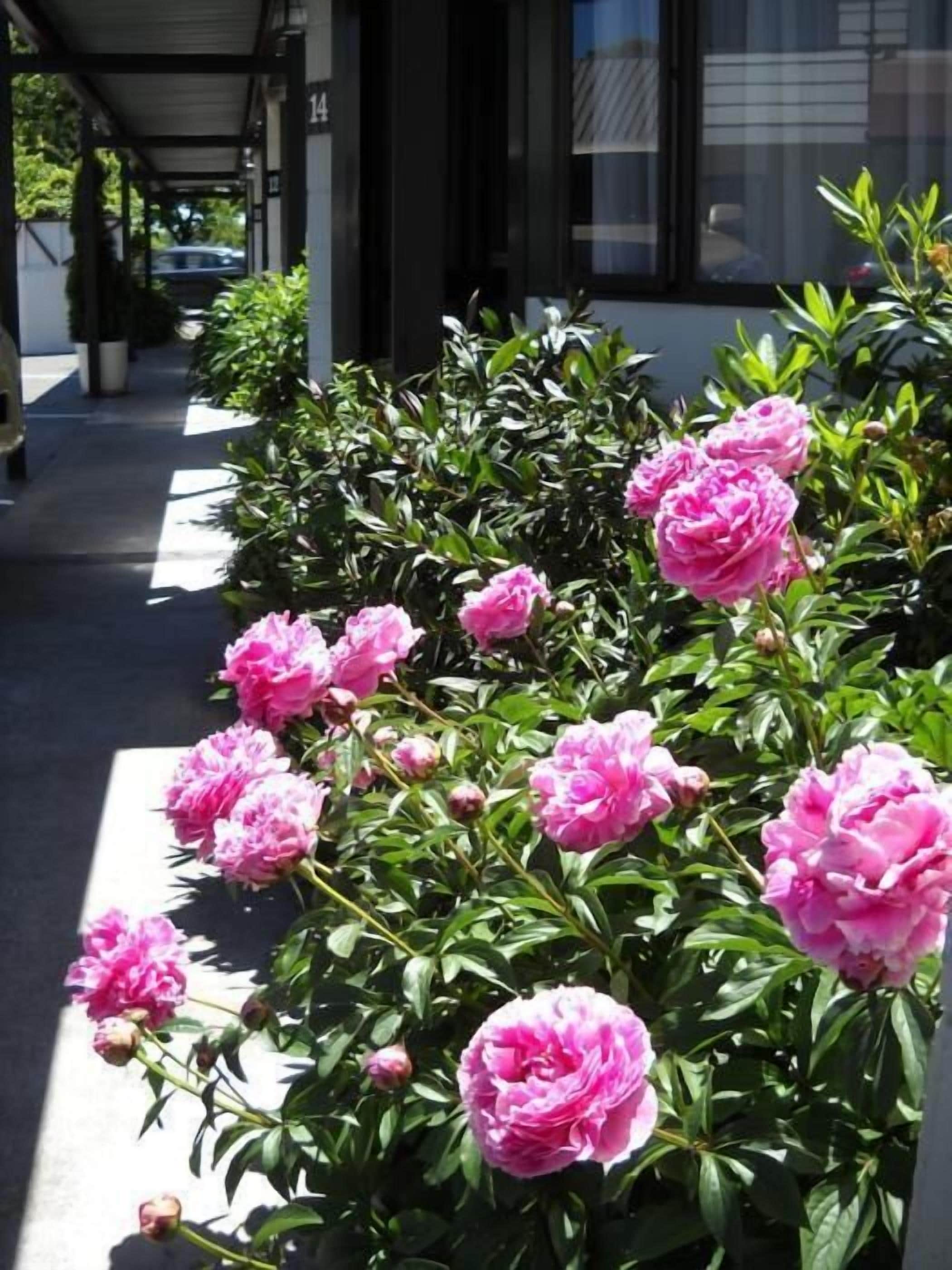 Photo - Gothic Heights Motel