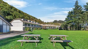 A grassy area with picnic tables and a building with multiple windows and balconies. - Capital Lodge Motor Inn (Wellington)