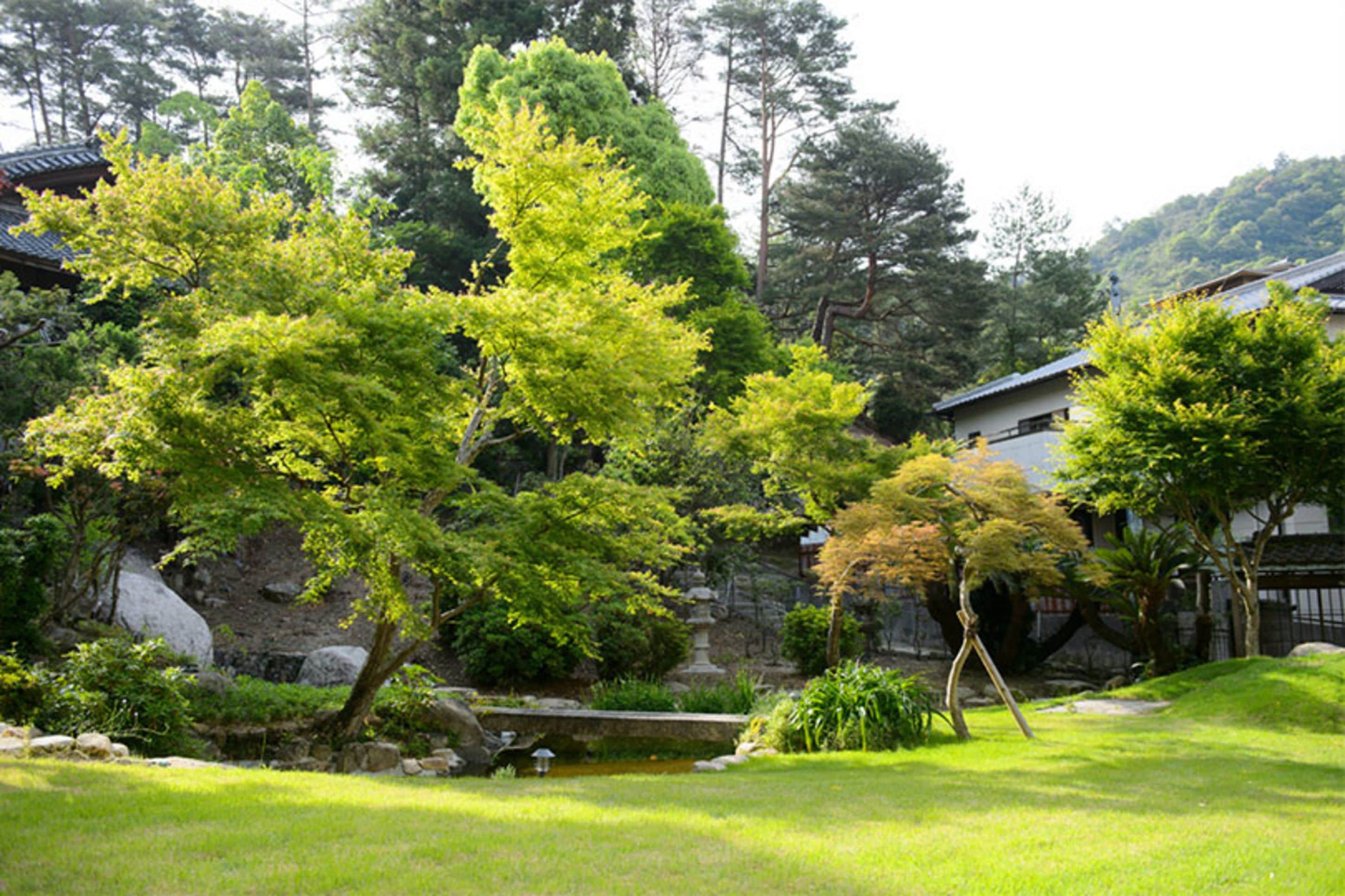 Een traditionele Japanse tuin met een vijver, stenen lantaarns en een houten gebouw.