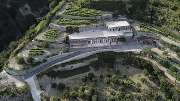 Jardín
