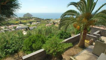 Un barrio residencial con vista al océano, una palmera y un jardín con diversas plantas.