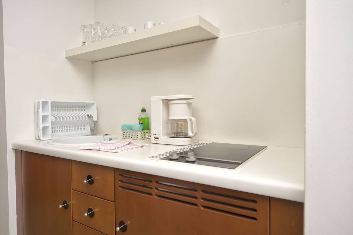 family apartment, 2 bedrooms, garden view | private kitchen