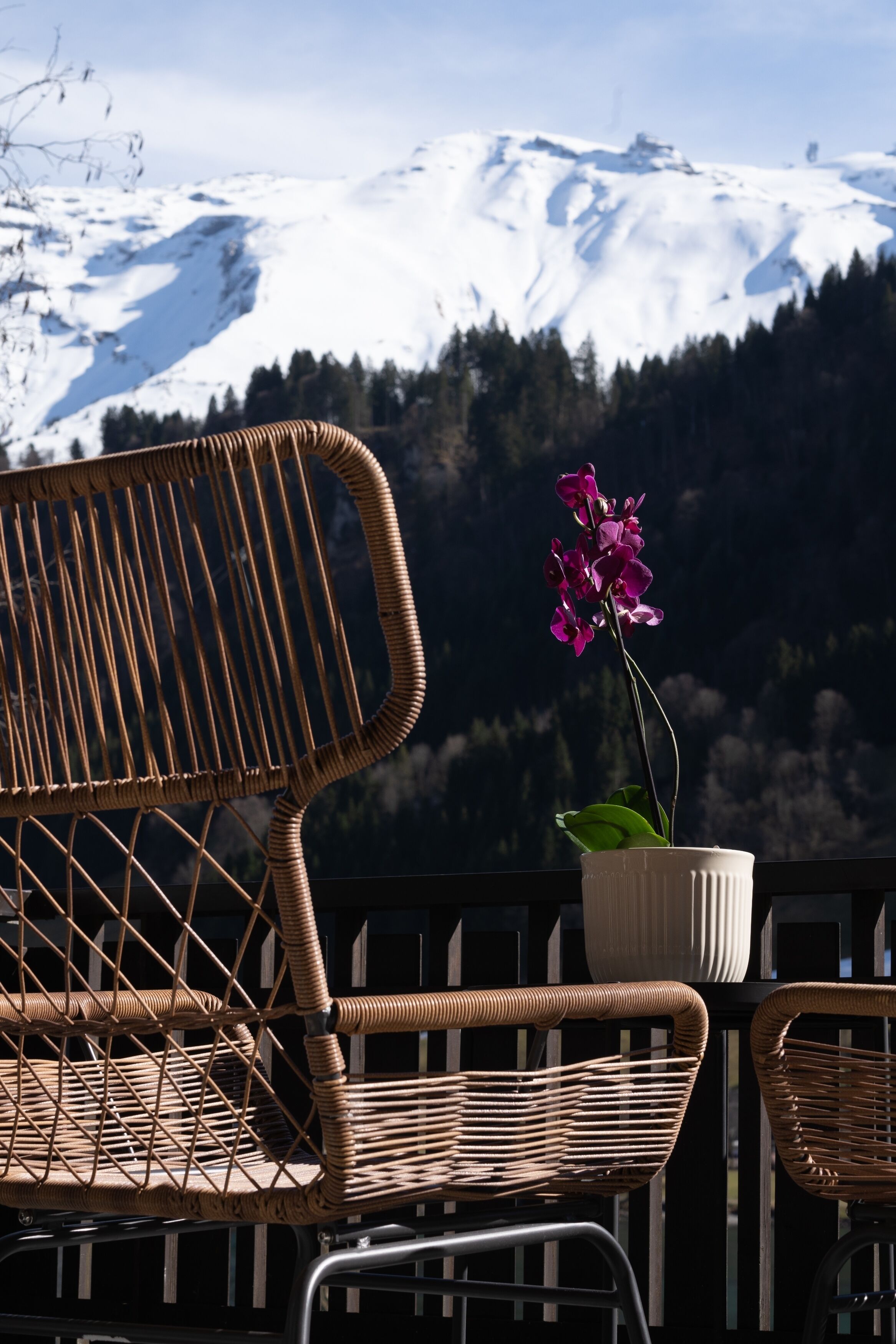 Central Serviced Apartment 2 (Engelbergerstrasse 53, Engelberg, 6390 CH, 700m away from hotel) | Terrasse/Patio