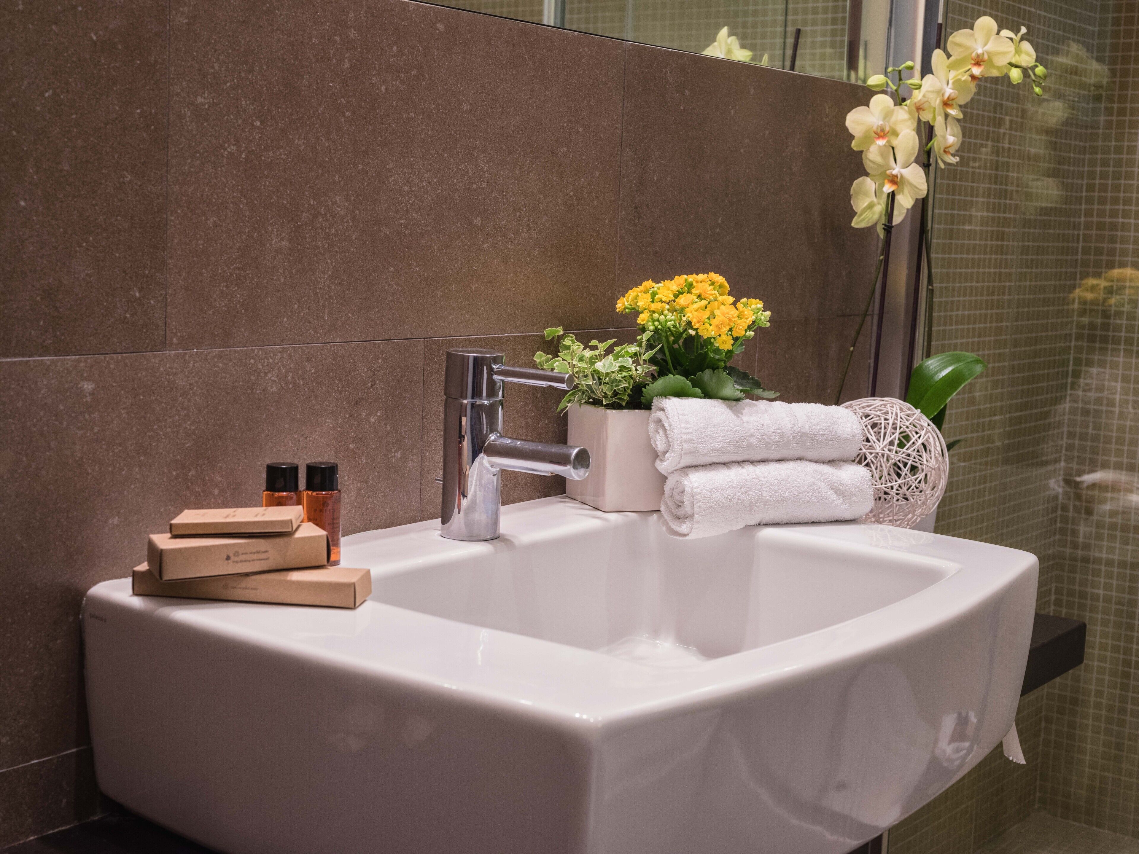 shower, rainfall showerhead, free toiletries, hair dryer