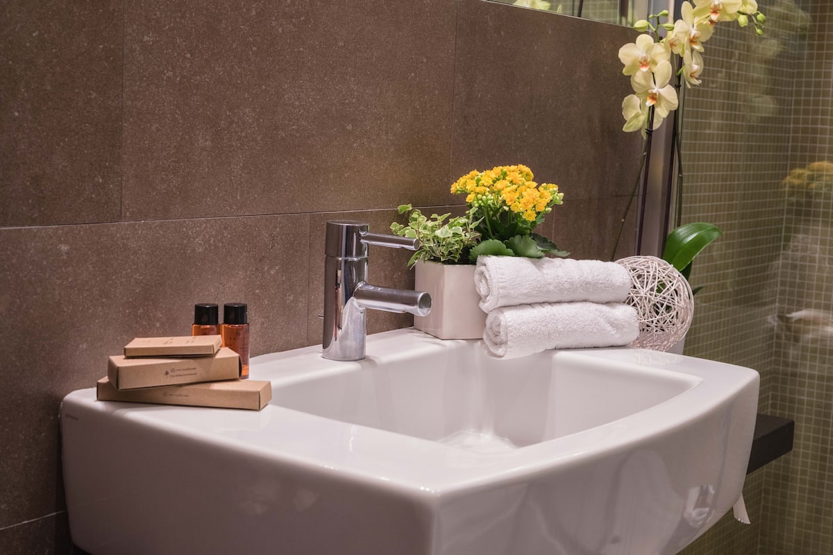 shower, rainfall showerhead, free toiletries, hair dryer