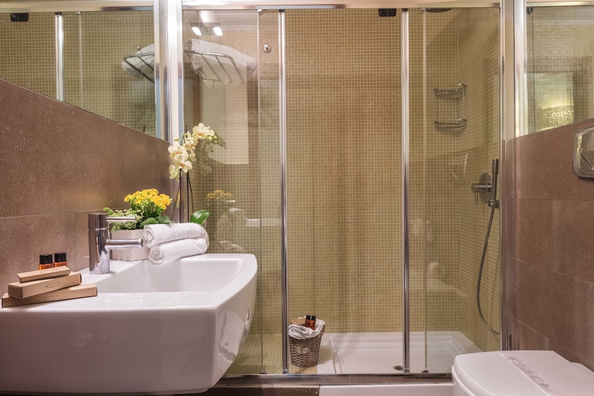 shower, rainfall showerhead, free toiletries, hair dryer