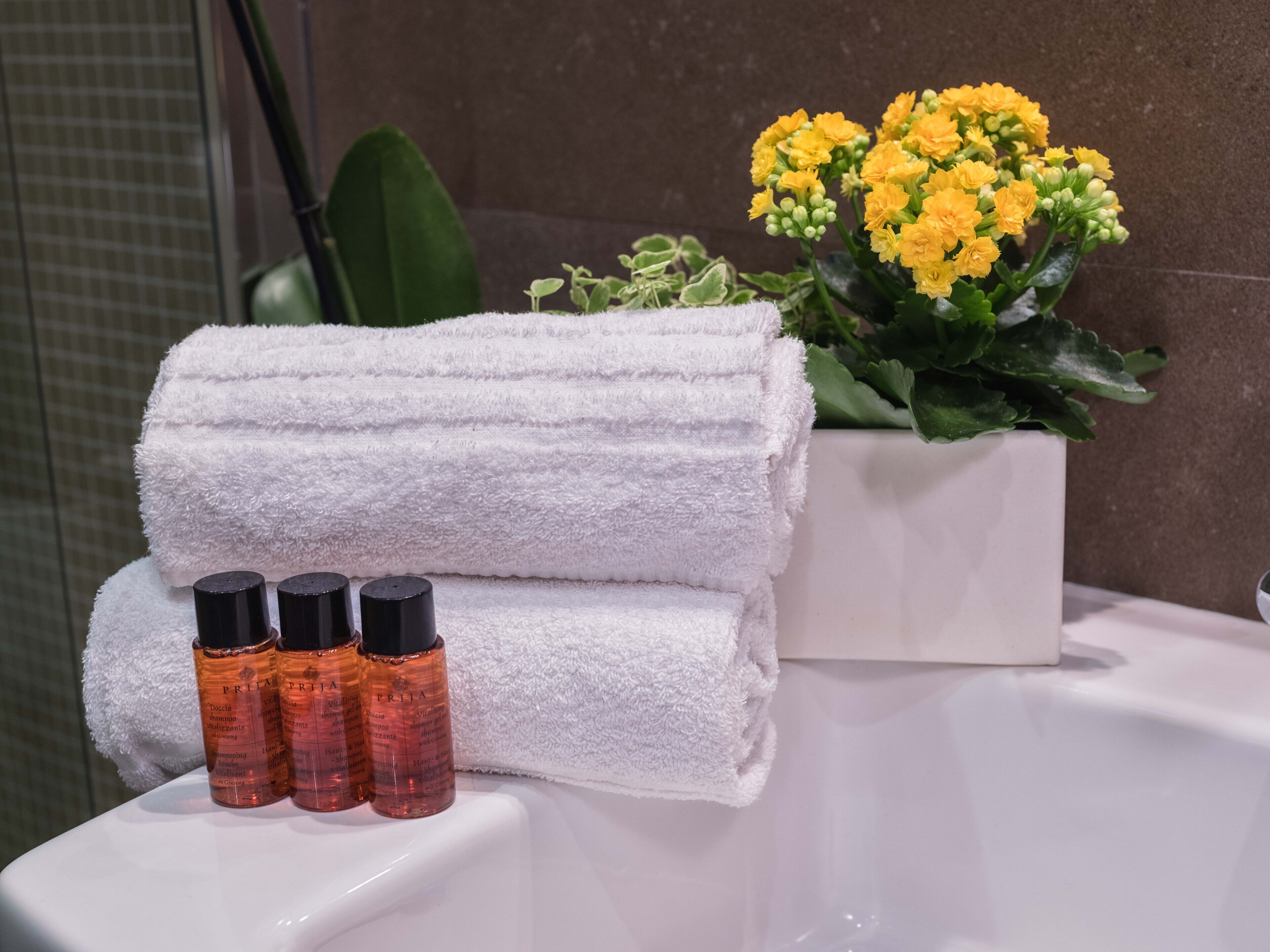 classic single room | bathroom | shower, rainfall showerhead, free toiletries, hair dryer