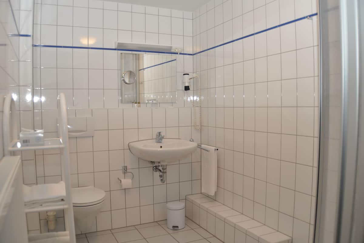 standard room | bathroom | shower, hair dryer, towels