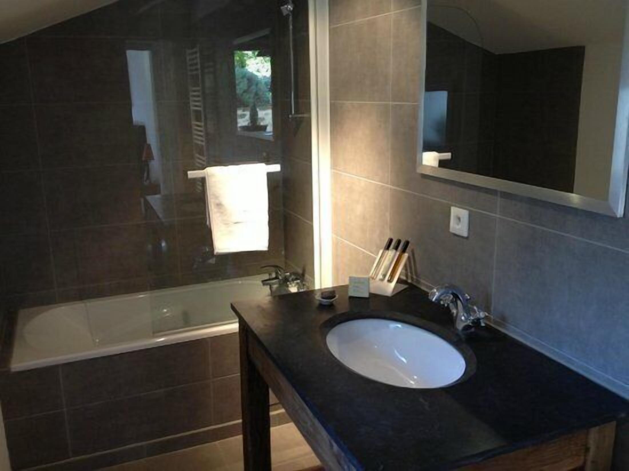 standard room | bathroom | shower, free toiletries, hair dryer, towels