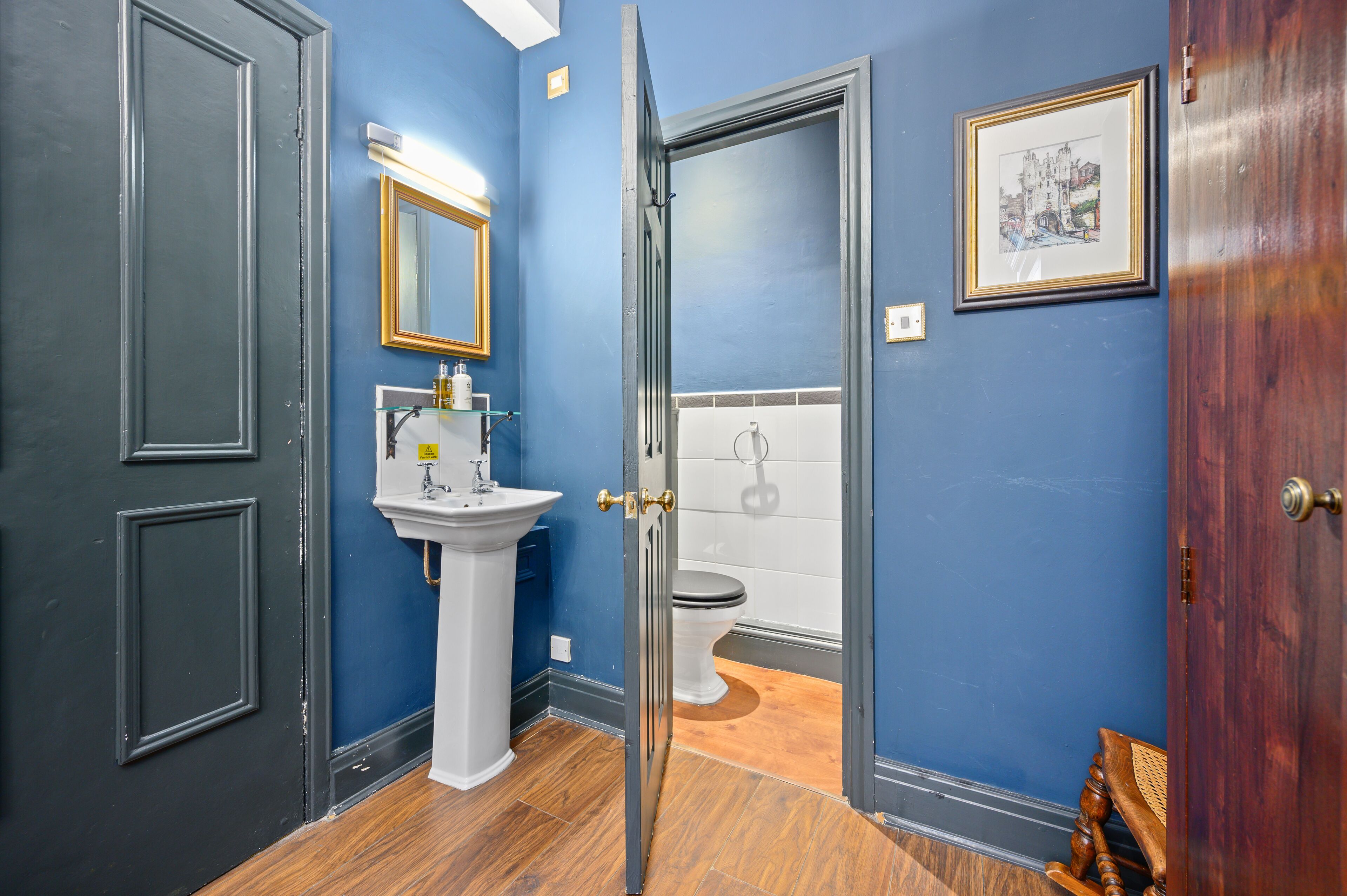 Photo - The Fat Badger