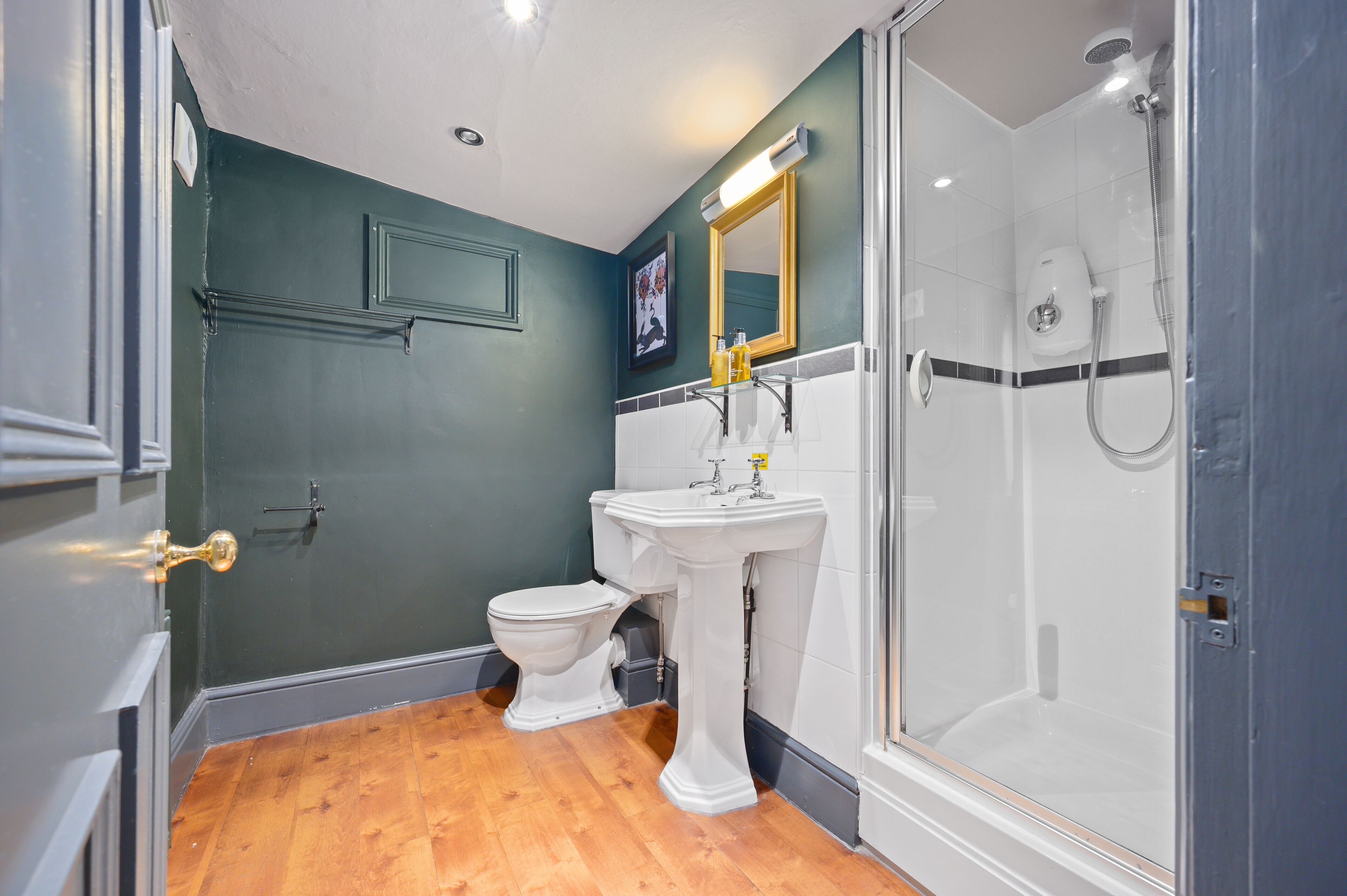 Photo - The Fat Badger