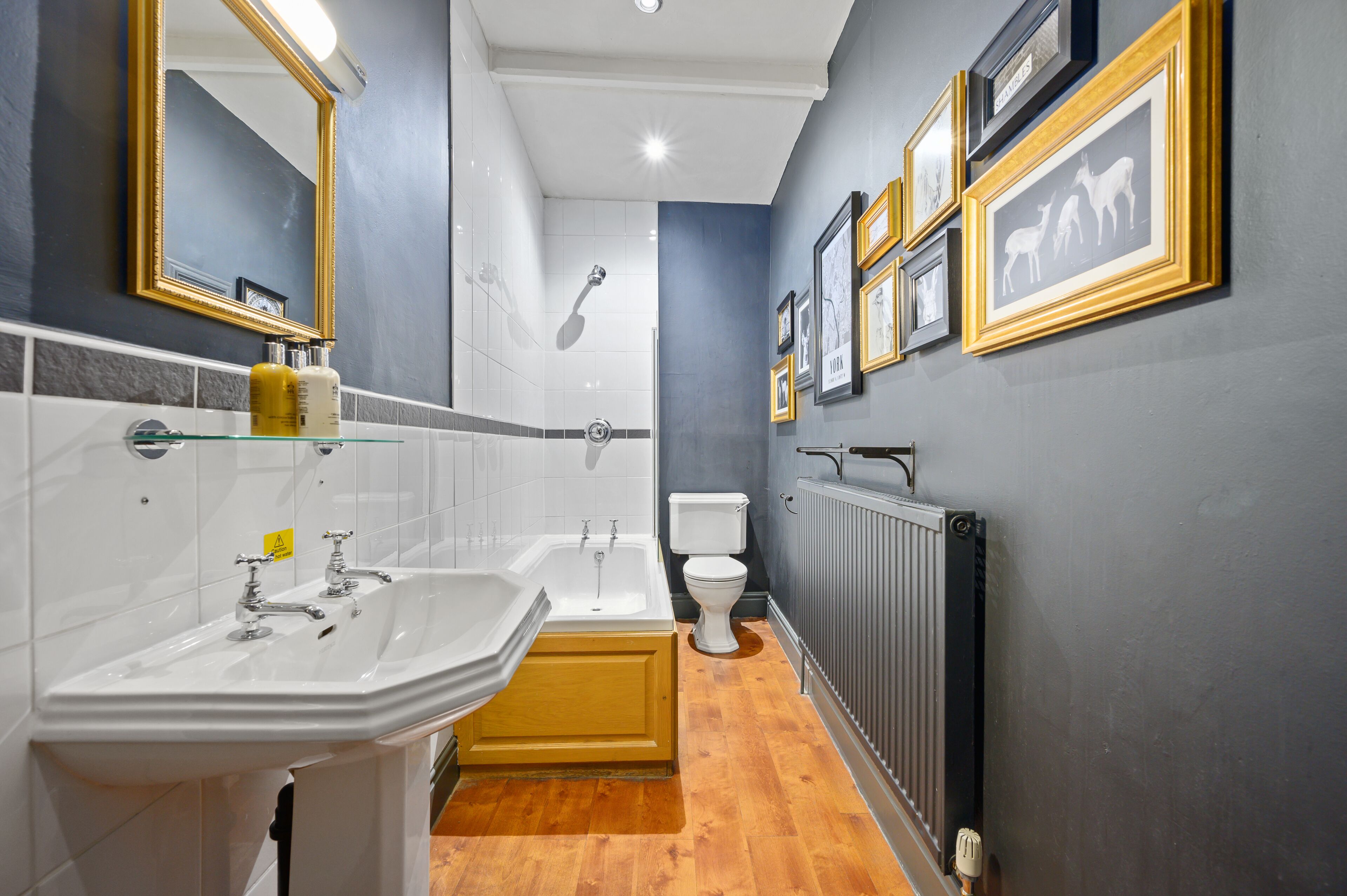 Photo - The Fat Badger